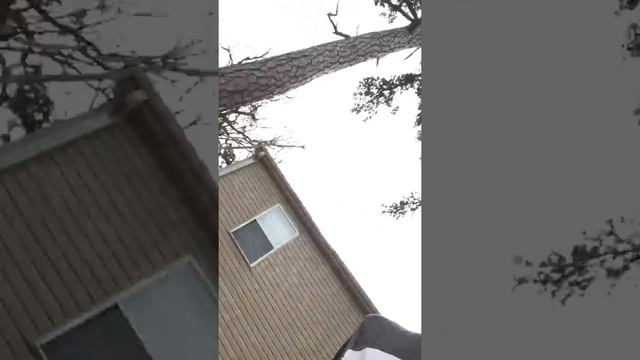 PT 2 HE BROKE THE WHOLE WINDOW 😱😱 смотреть онлайн
