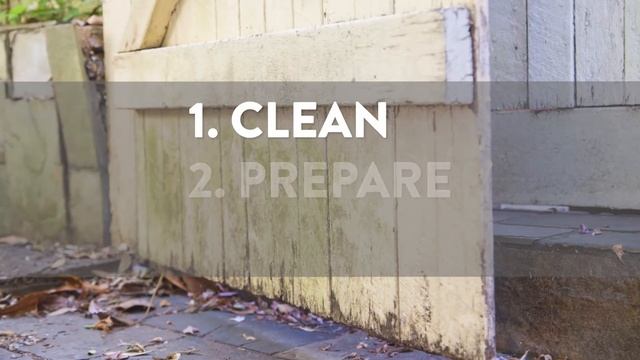 How to Treat and Prevent Mould смотреть онлайн