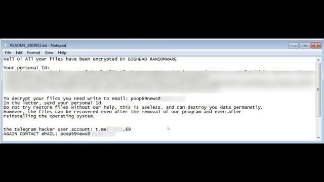 CAUTION Fake Windows Update installs "Big Head" Ransomware смотреть онлайн