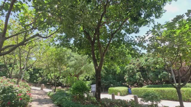 Китай, Сямен (Xiamen), Jul 2024, Huweishan Atmosphere Theme Park, бабочки смотреть онлайн