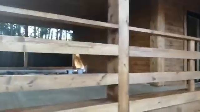 Обзор одноэтажного дома бани из бруса смотреть онлайн