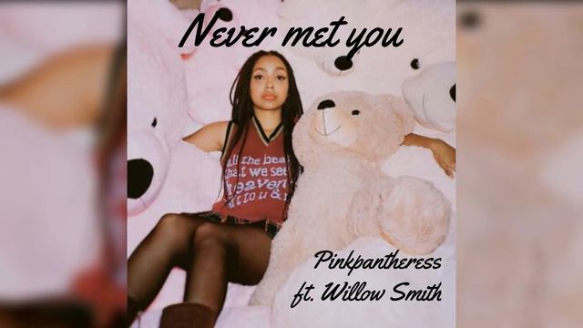 Never Met You || pinkpantheress ft. Willow Smith смотреть онлайн