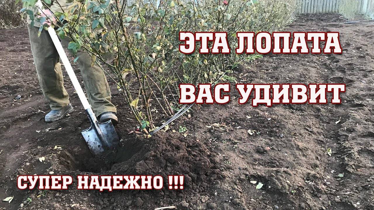 СУПЕР НАДЕЖНАЯ ЛОПАТА для выкопки саженцев