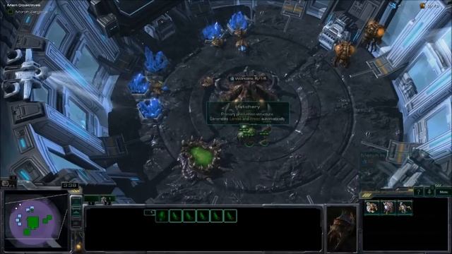 StarCraft 2: Heart of the Swarm - Campaign Playthrough Part 1 (Lab Rat, No Commentary) RE-UPLOAD смотреть онлайн