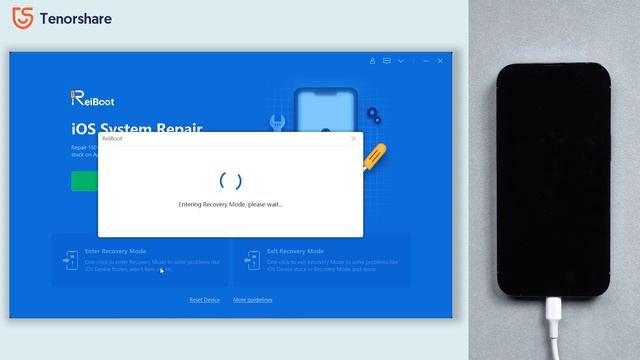How To Put IPhone In Recovery Mode With Tenorshare ReiBoot