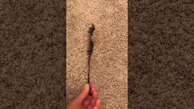 Review of Nyloon Watch Band смотреть онлайн