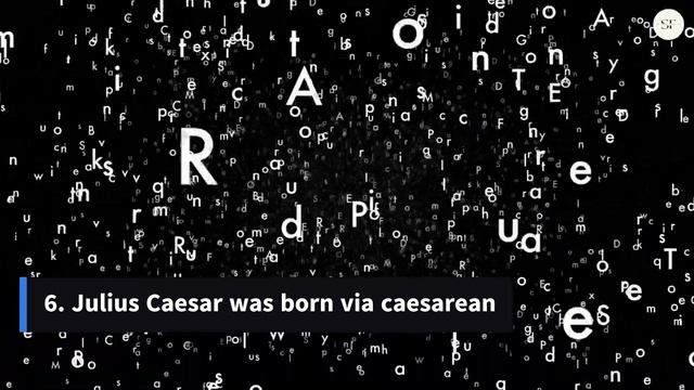 12 Common Misconceptions Debunked смотреть онлайн