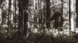 Охота на Бигфута | Bigfoot
