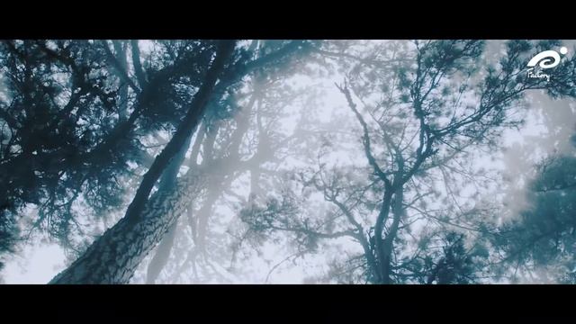 Stress-free and Relaxing Music Video | In the Flux - by Sreeraj Nair | Dawn Child смотреть онлайн