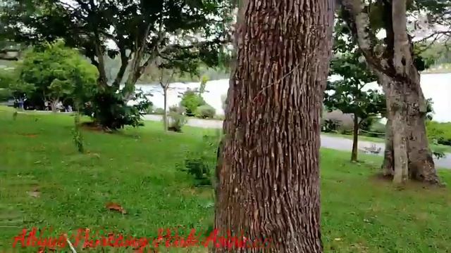 Mac Ritchie/Park Area/Anale Tacud смотреть онлайн