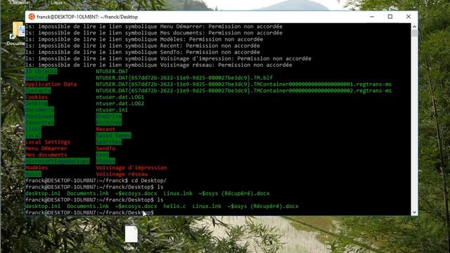 Programmer en C sous Windows avec WSL смотреть онлайн