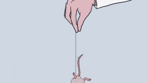 [ Детектив Войд ] SCP - 1166 
Идеальный подопытный ( Анимация SCP )