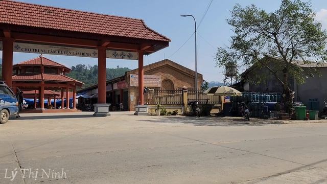 95 Days Harvest Bamboo Shoots, Ginger, Purple Sugarcane & Wild Banana Flower Go To The Market Sell