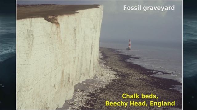 Skeptics Do NOT Want You to Know This About Rock Layers смотреть онлайн