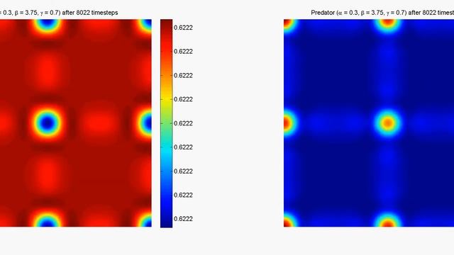 Rosenzweig - Mac-Arthur Model - Stabilization - 2D - Periodic Boundary Conditions смотреть онлайн
