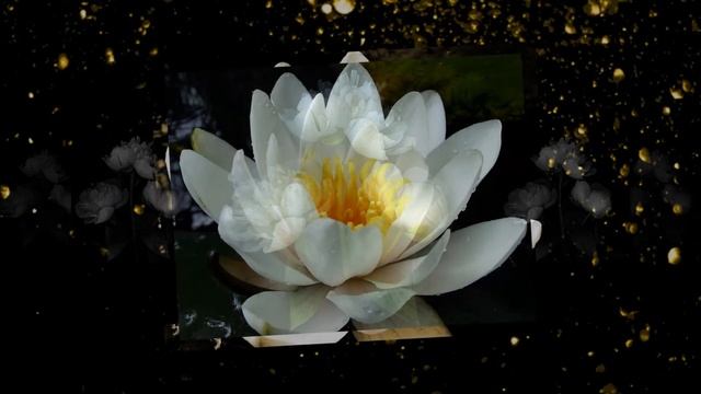 Marco Tonelli - Soleluna смотреть онлайн