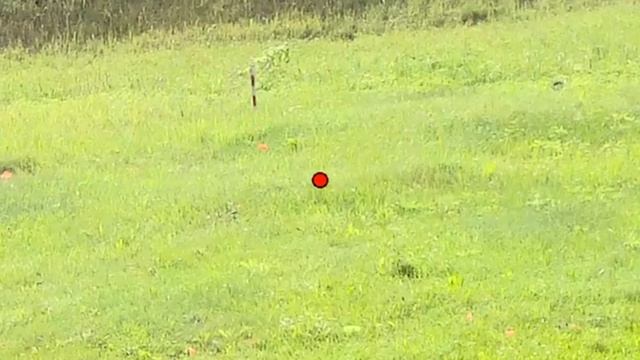 Учу стрелять налётные мишени ниже пояса смотреть онлайн