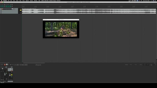 How to Import and Export Video Files in Reaper смотреть онлайн