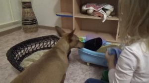 ВЛОГ В мой день рождения едем с ночёвкой к Нине и Олегу