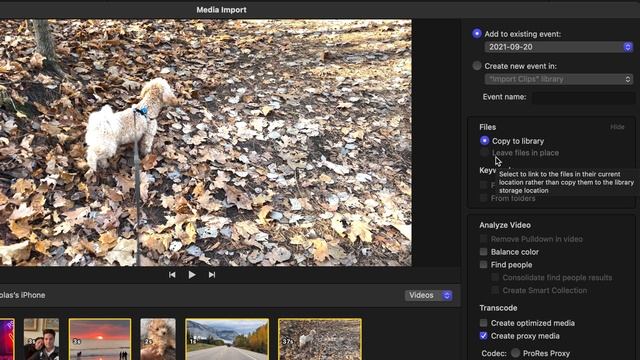 Importing Media in Final Cut Pro — Final Cut Pro Lesson 03 - MotionVFX Academy смотреть онлайн