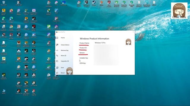 แก้ปัญหาลืมเลข license / Windows 8 และ 10 смотреть онлайн
