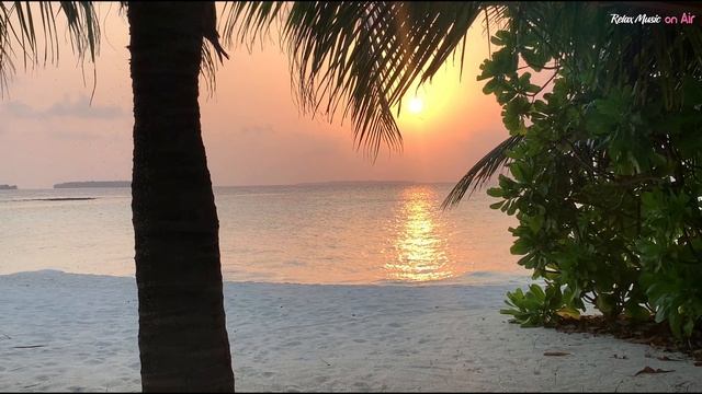 Beautiful Seaside I Full Album I Relaxing Music for Spa, Yoga, Meditation I смотреть онлайн