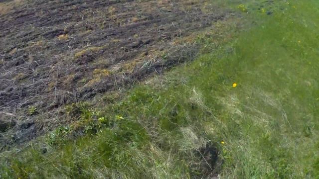 цена упала копим металл смотреть онлайн