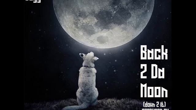 Shane Dogg - Back 2 Da Moon (Down 2 It) смотреть онлайн