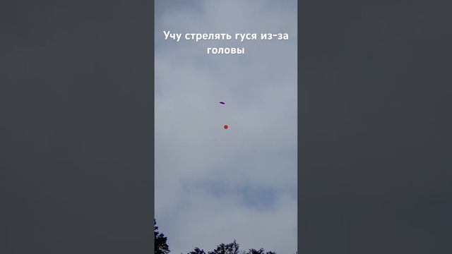 Учу стрельбе Гуся из-за головы смотреть онлайн