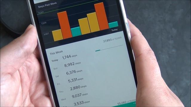 Review Fitbit for Windows Phone 8 1 смотреть онлайн
