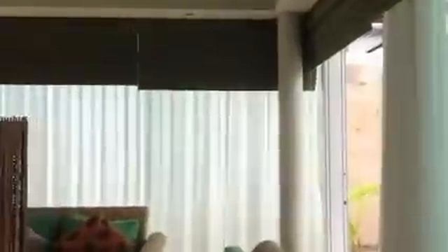 Ko Samui смотреть онлайн