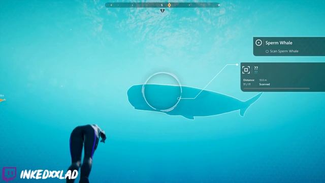 I Imagined This To Be Like No Mans Sky But Underwater | Beyond Blue смотреть онлайн