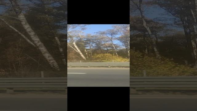 березы + лп смотреть онлайн