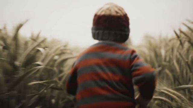 mLUT Film - Professional LUTs for the Film Industry and free FCPX Plugin смотреть онлайн