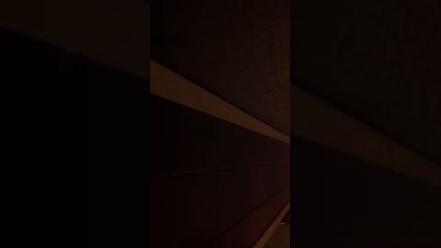 Meatwood Flac - Dreams смотреть онлайн