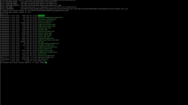 Importing Server Automation - Data Warehouse custom certificates in TrueSight Smart Reporting смотреть онлайн