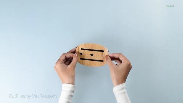 Apple Magic Mouse 2 Vinyl Skin Application Tutorial | VecRas смотреть онлайн