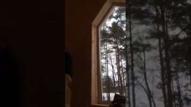 Ладога 2018 сдача построенного дома 8*8 смотреть онлайн