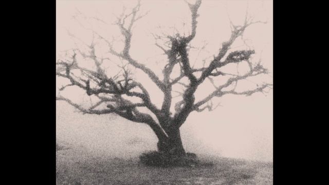 (Free) Travis Scott x Mike Dean x 070 Shake Utopia Type Beat ~ Psalm смотреть онлайн