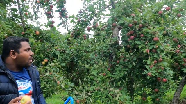 Apple Farm Quebec , Canada / കാനഡയിലെ ആപ്പിൾ തോട്ടത്തിൽ പോയാലോ смотреть онлайн
