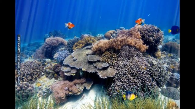 nfsUnderwater3 смотреть онлайн