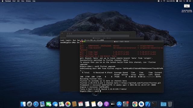 Download & Install Flutter SDK on Mac смотреть онлайн