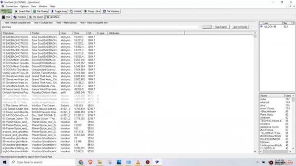 How to use Soulseek (File Sharing Network)