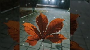 Yomgirlarda korinmasin koz yoshlar koz yoshlar 2022 mp3 Емгирларда куринмасин куз ешлар