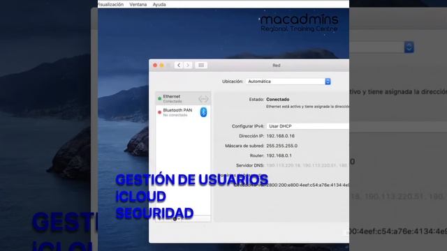 CURSO ONLINE | SOPORTE PROFESIONAL APPLE MAC смотреть онлайн