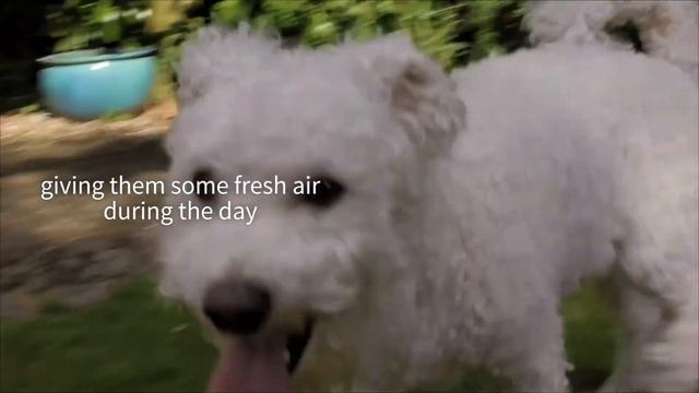 TRIXIE The SureFlap Microchip Pet Door