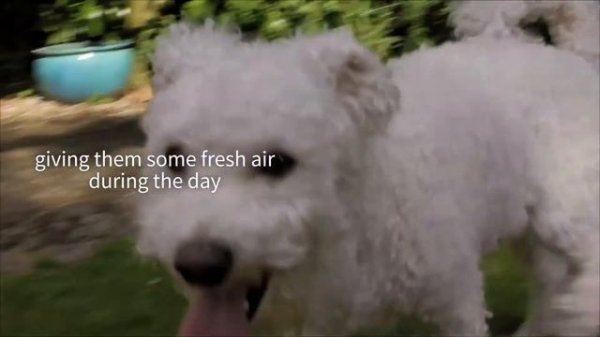 TRIXIE The SureFlap Microchip Pet Door