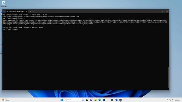 Windows LXD Management смотреть онлайн