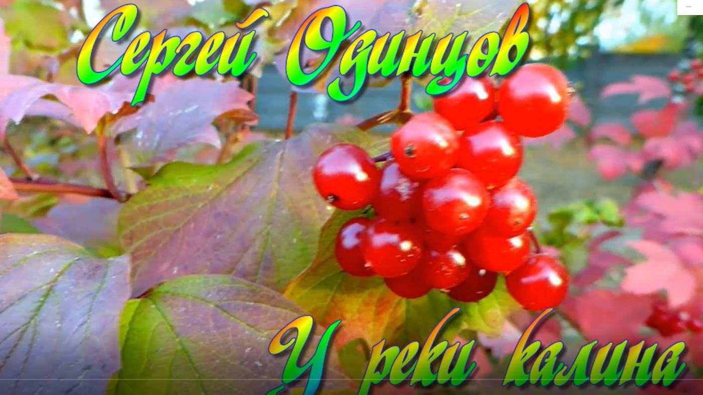 Душевная песня - У реки калина смотреть онлайн