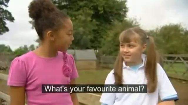 This is Britain - Animals and pets (subtitle) смотреть онлайн
